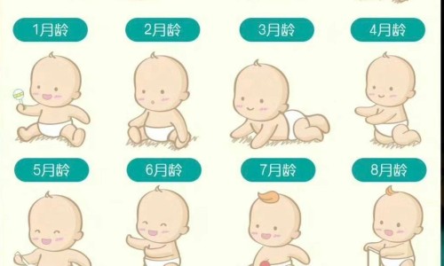 六个月婴儿可以枕枕头吗-六个月宝宝摇头是怎么回事、六个月婴儿眼睛有红血丝怎么回事 -六个月婴儿可以摇晃吗网